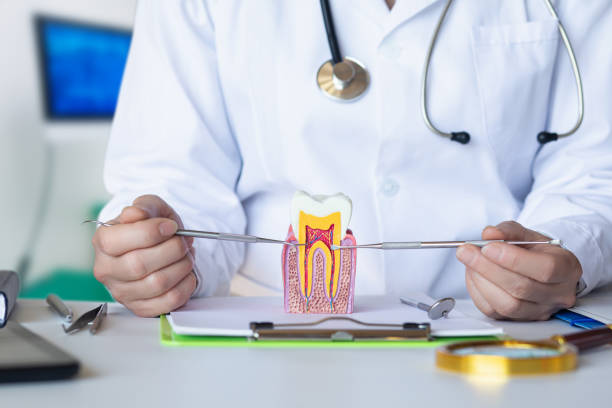 Best Emergency Root Canal Treatment in Dravosburg, PA